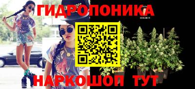спайс Гатчина