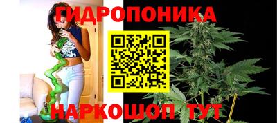 спайс Гатчина