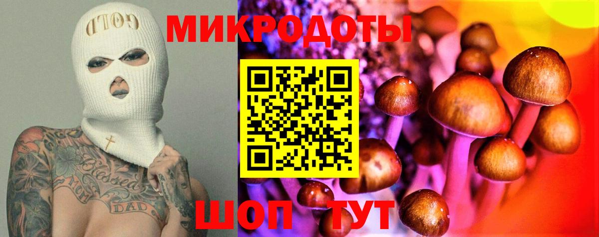 Мичуринск  Псилоцибиновые грибы ЛСД  Вход с VPN 