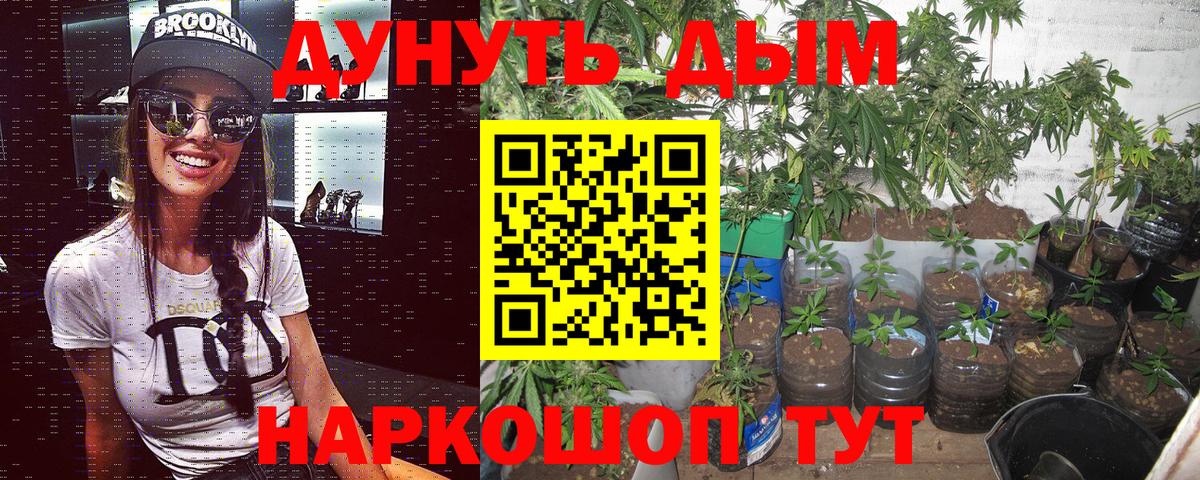 Канабис White Widow  Конопля Bruce Banner  Вход с VPN  Мичуринск 